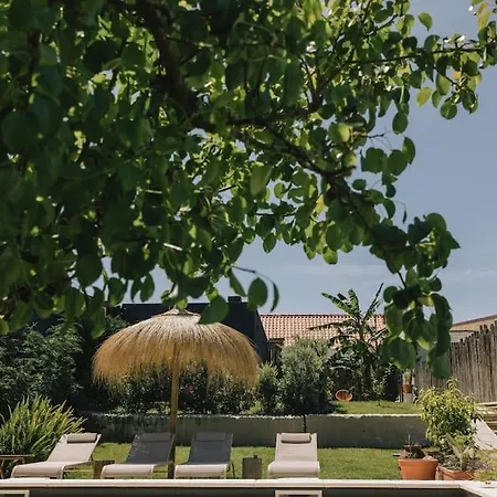 컨트리하우스 Casa Da Aldeia - Baleal - Peniche Casais Brancos