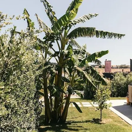 컨트리하우스 Casa Da Aldeia - Baleal - Peniche Casais Brancos