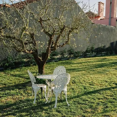 컨트리하우스 Casa Da Aldeia - Baleal - Peniche