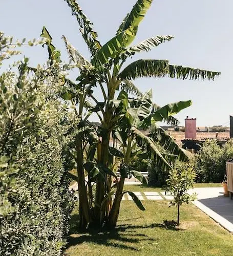 منزل ريفي Casa Da Aldeia - Baleal - Peniche Casais Brancos